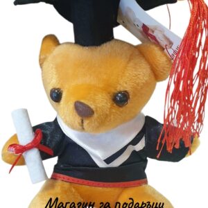 Плюшено мече за абитуриенти и абсолвенти